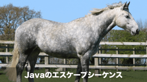 javaのエスケープシーケンス