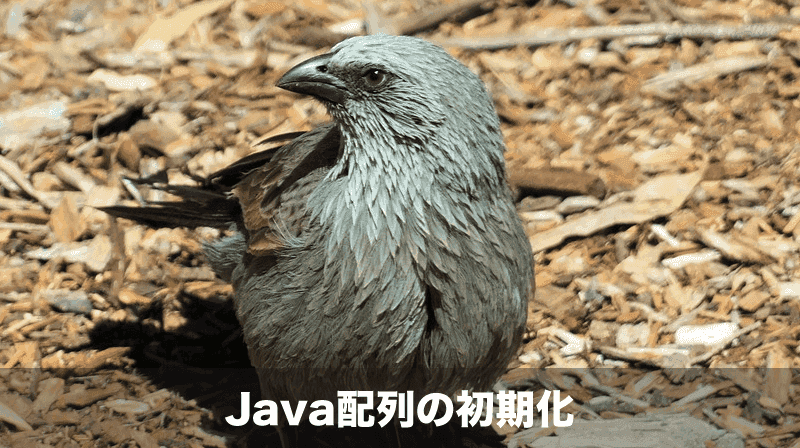 java配列の初期化