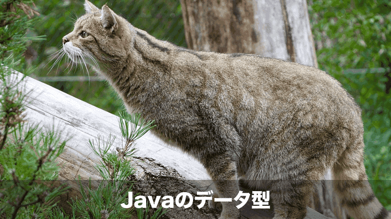 Javaのデータ型
