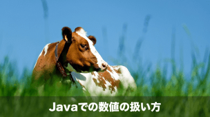 javaでの数値の扱い方