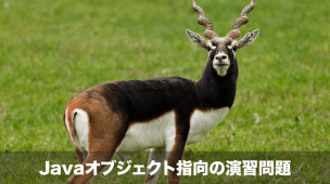 javaオブジェクト指向の演習問題