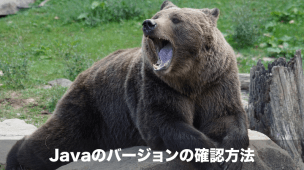javaのバージョンの確認方法