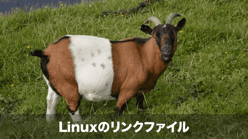 リンクファイル