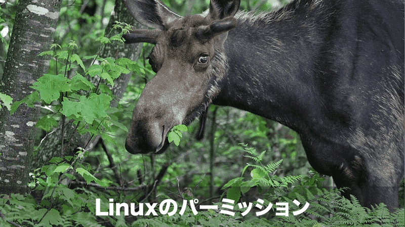 linuxのパーミッション