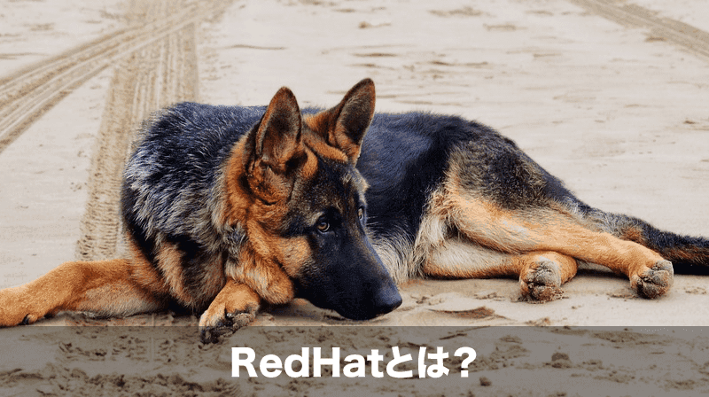 redhatとは