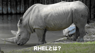 rhelとは