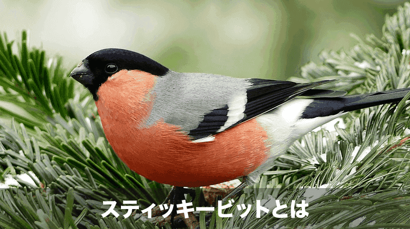 スティッキービット