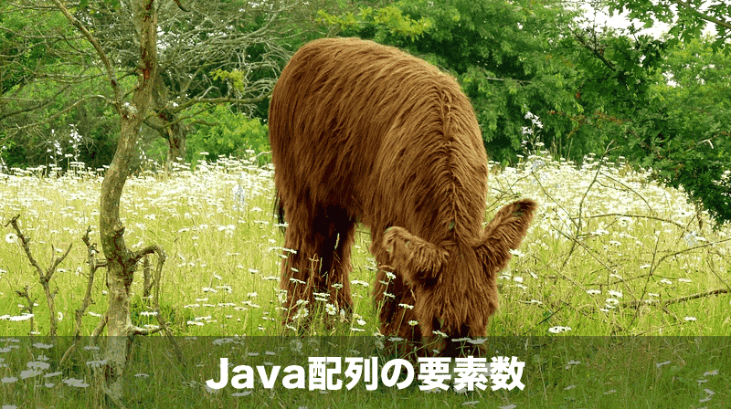 Java配列の演算子
