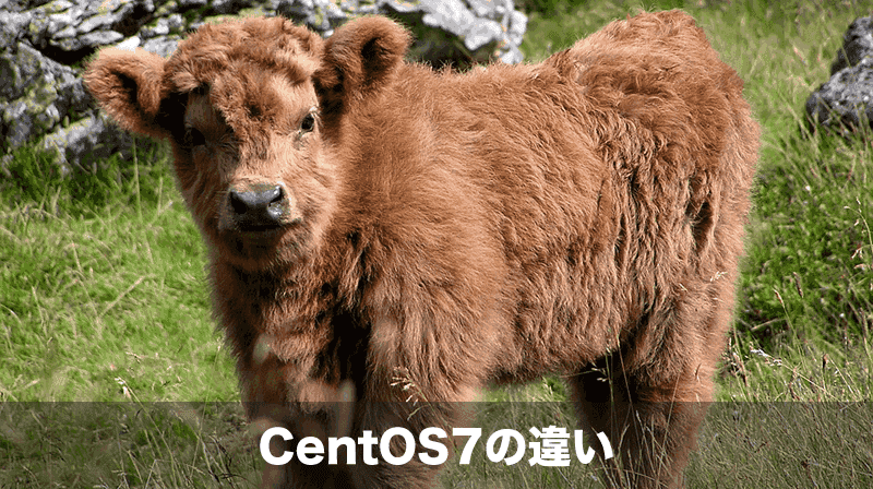 centos7の違い