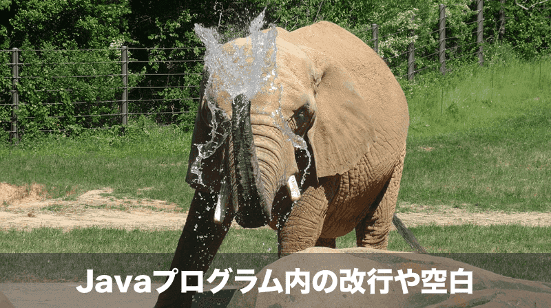 Javaプログラム内の改行や空白の扱い