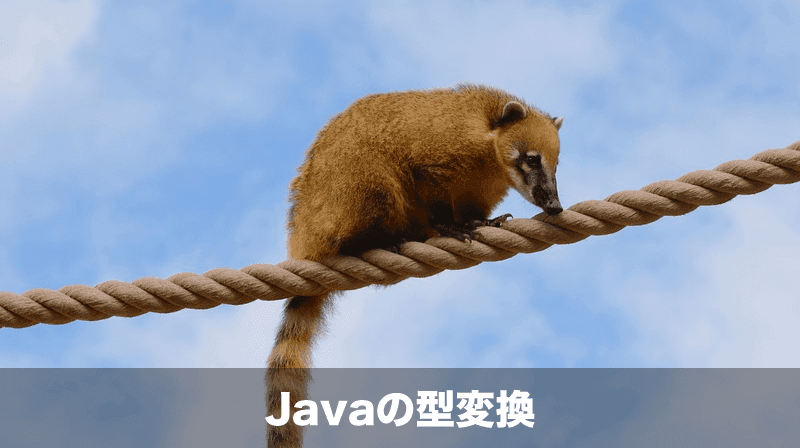javaの型変換