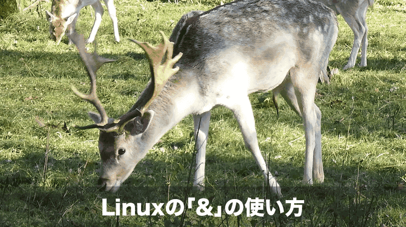 linux-and
