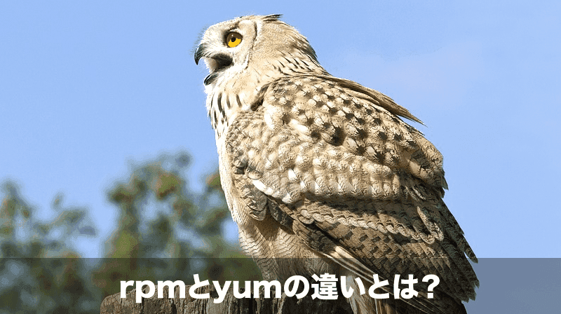 rpmとyumの違い