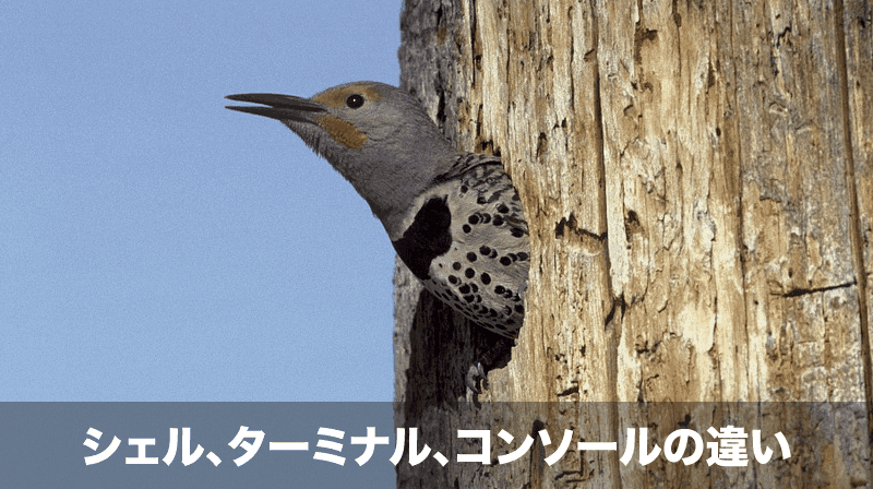 シェル、ターミナル、コンソール　違い