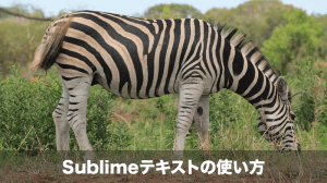 sublimeテキストの使い方