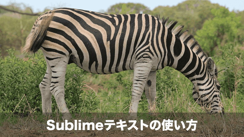 sublimeテキストの使い方