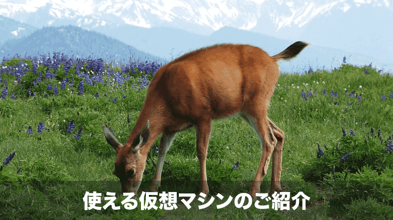 知っておきたい仮想マシン