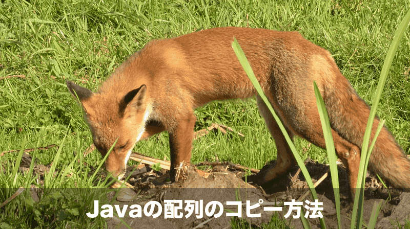 javaの配列のコピー方法