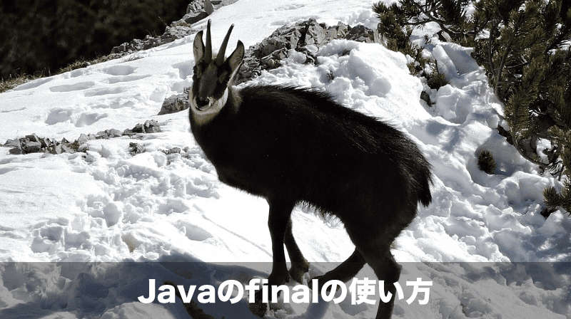 javaのfinalの使い方