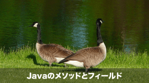 javaのメソッドとフィールド