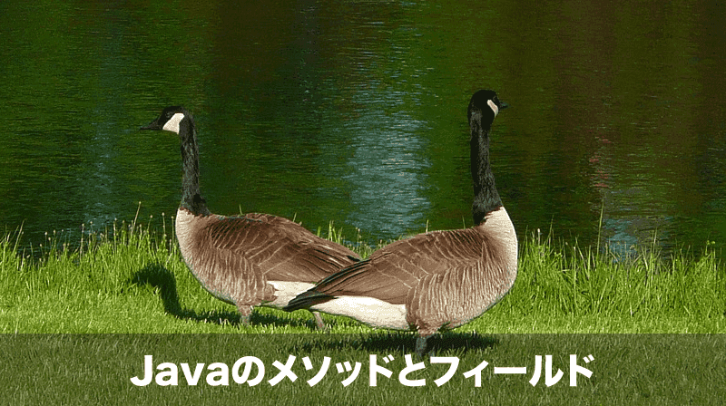 javaのメソッドとフィールド
