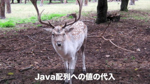 java配列の値の代入