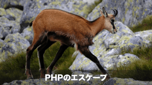 phpの文字列エスケープ