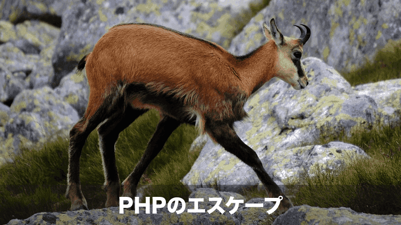 phpの文字列エスケープ