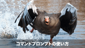 コマンドプロンプトの使い方