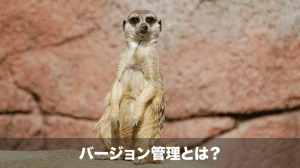 バージョン管理とは？