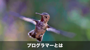 プログラマーとは