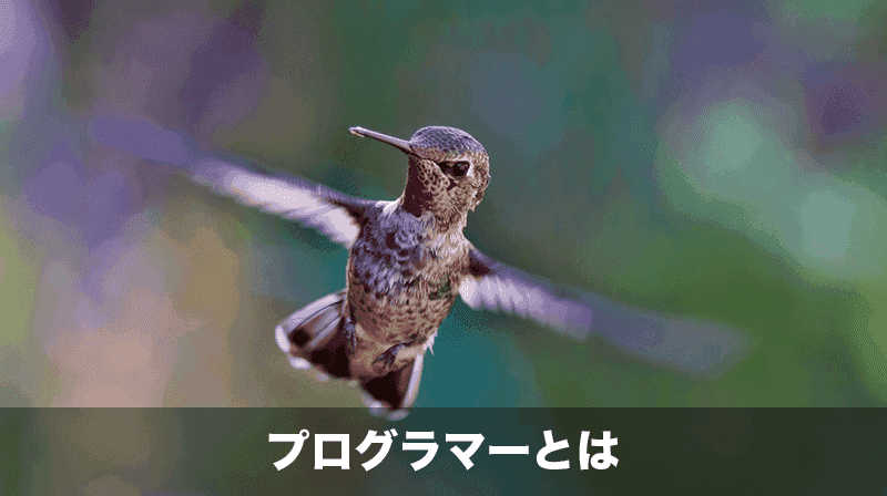 プログラマーとは