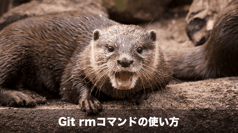 git rmコマンドの使い方