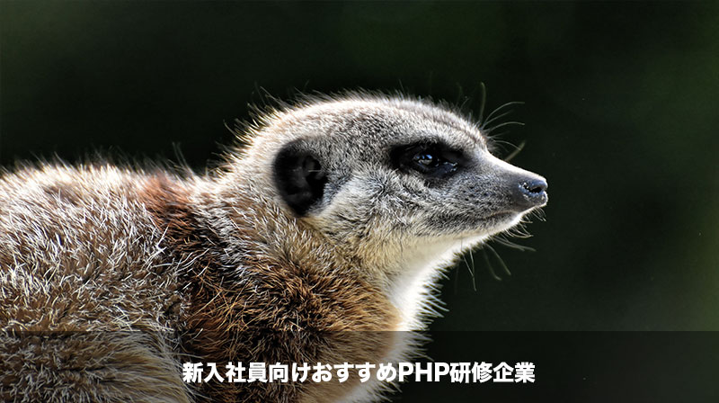 PHP研修企業 トップ画像