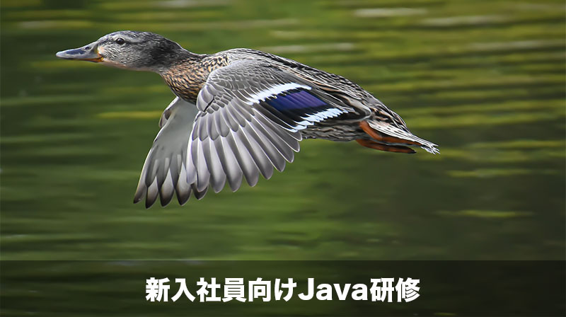 java_training