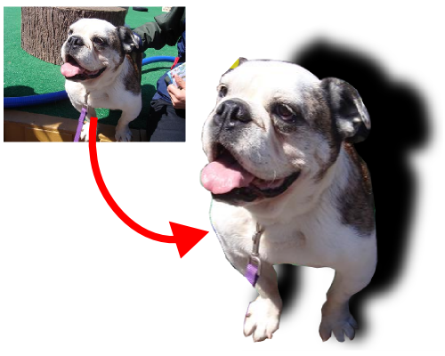 写真を切り抜く 写真を切り抜く