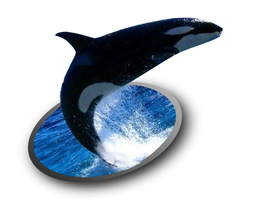 飛び出す写真 飛び出す写真