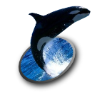 飛び出す写真 飛び出す写真