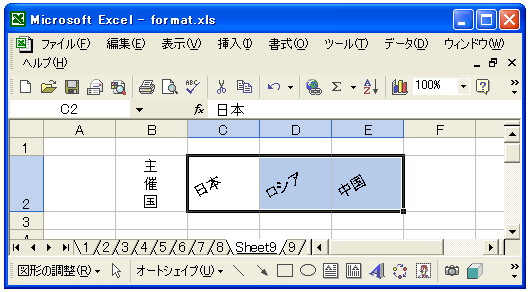 �����̕\���p�x���w��