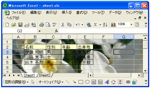 ���[�N�V�[�g�̔w�i�摜�̐ݒ�