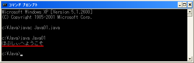 �R�}���h�v�����v�g�Ŏ��s