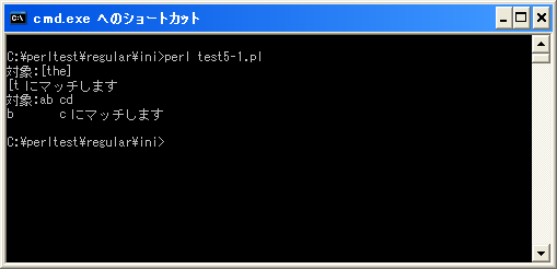 �p�^�[���̒��̃G�X�P�[�v����