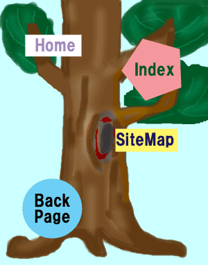 �C���[�W�}�b�v�̃T���v���}