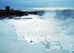 �~�̃i�C�A�K���̑�