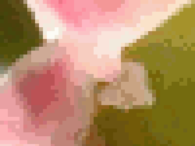 ���k��̕i��(�g��)