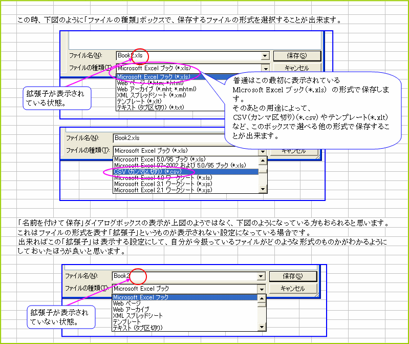 �u���O�����ĕۑ��v�̍ۂ̊g���q
